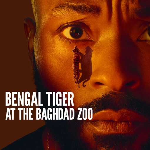 Bengal Tiger at the Baghdad Zoo