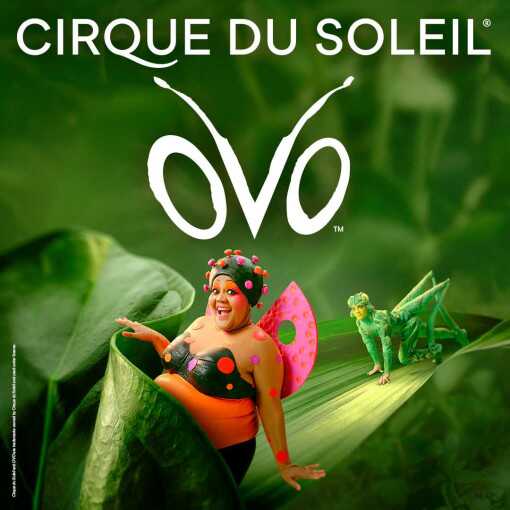 OVO - Cirque du Soleil OVO - Cirque du Soleil