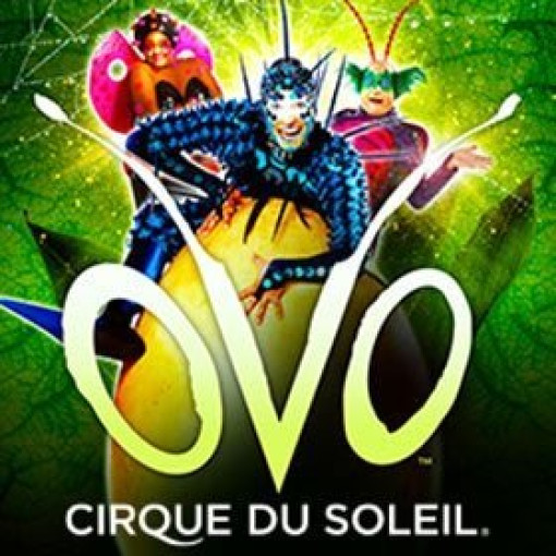 OVO - Cirque du Soleil