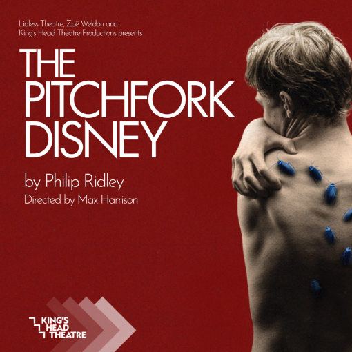 The Pitchfork Disney The Pitchfork Disney