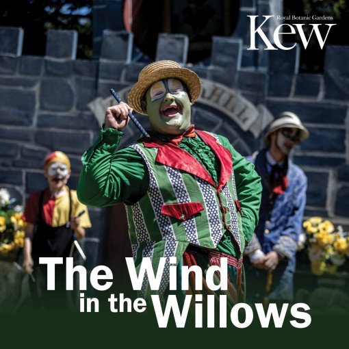 The Wind in the Willows